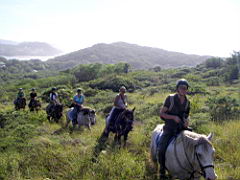 1080 cintsa IMGP5709.JPG